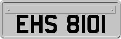 EHS8101