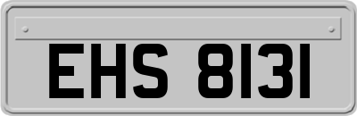 EHS8131