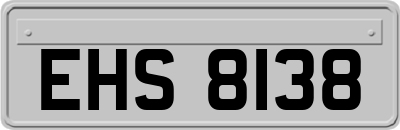 EHS8138