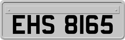 EHS8165