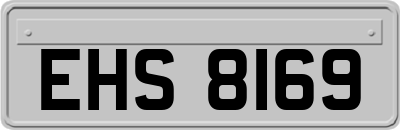 EHS8169