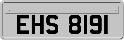 EHS8191