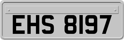 EHS8197
