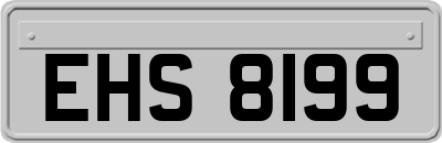 EHS8199