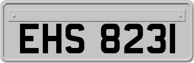 EHS8231