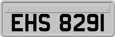 EHS8291