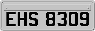 EHS8309