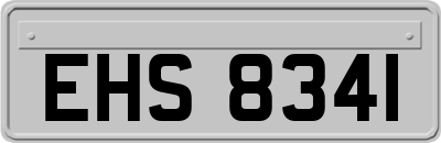 EHS8341