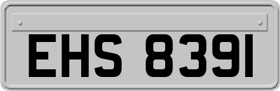 EHS8391