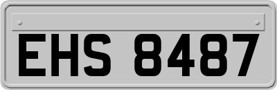 EHS8487