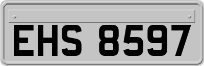EHS8597