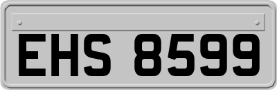EHS8599