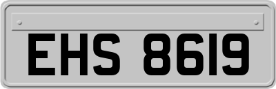 EHS8619