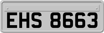 EHS8663