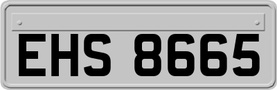 EHS8665