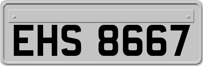 EHS8667