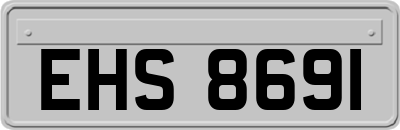 EHS8691