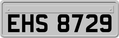 EHS8729