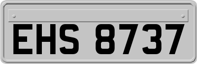 EHS8737