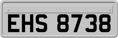 EHS8738