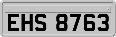EHS8763