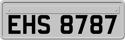 EHS8787