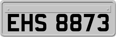 EHS8873