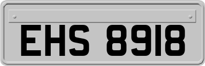 EHS8918