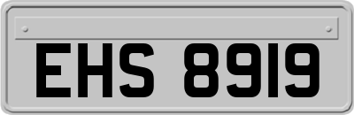 EHS8919