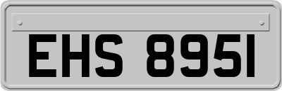 EHS8951
