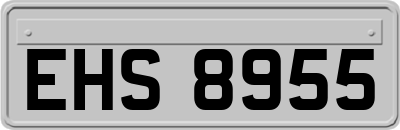 EHS8955