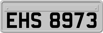 EHS8973
