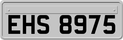 EHS8975