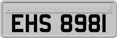 EHS8981