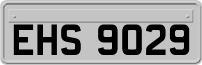 EHS9029