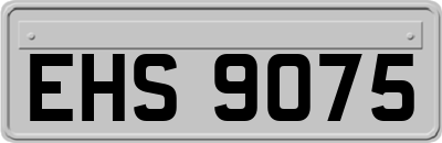 EHS9075