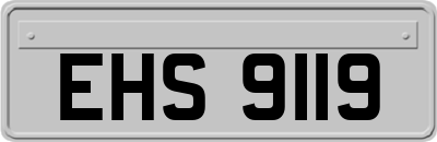 EHS9119