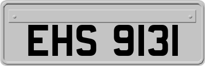 EHS9131