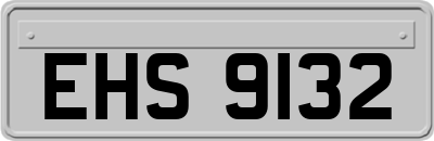 EHS9132