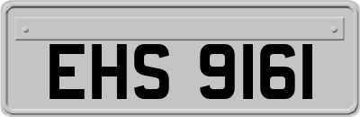 EHS9161