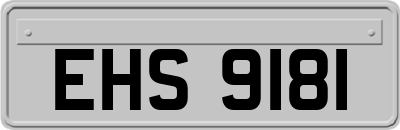 EHS9181