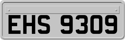 EHS9309