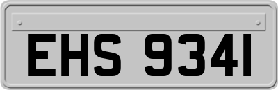 EHS9341