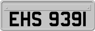 EHS9391