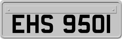 EHS9501