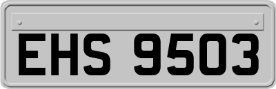 EHS9503