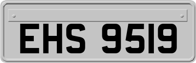 EHS9519