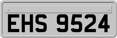 EHS9524