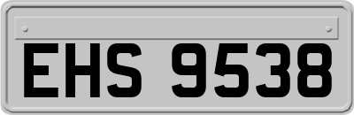 EHS9538