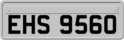 EHS9560